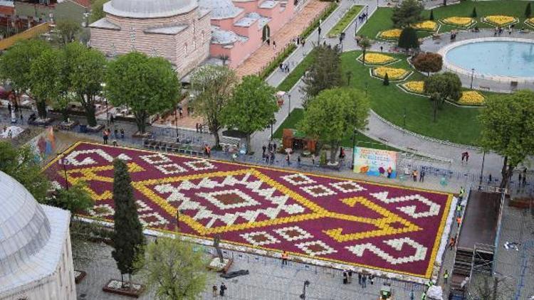 Sultanahmete 1453 metrekarelik lale halı