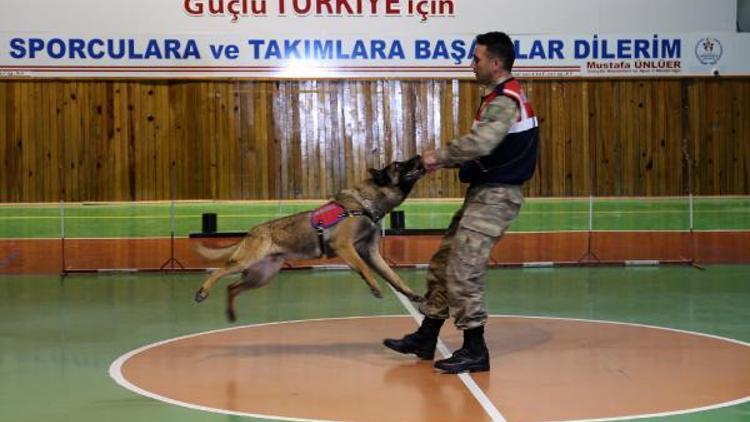 Dünya çocukları, 23 Nisanı Nevşehirde kutladı