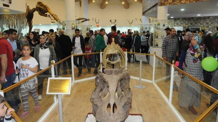Türkiyenin ilk Zooloji ve Doğa Müzesi Gaziantepte açıldı