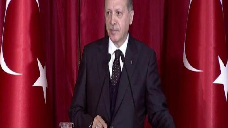 Cumhurbaşkanı Erdoğan: Bizi yeniden denetim sürecine almaları en hafif ifadesiyle ayıptır