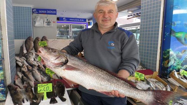 Tam 12 kilo... Minekobun kilosu 50 liradan satılıyor