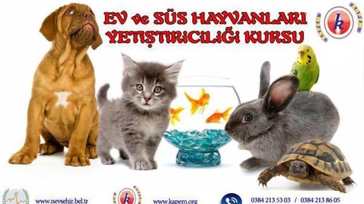 Ev ve süs hayvanları yetiştiriciliği eğitimi verilecek