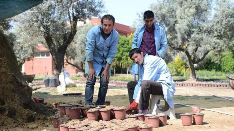 Tarımsal üretimde engel yok