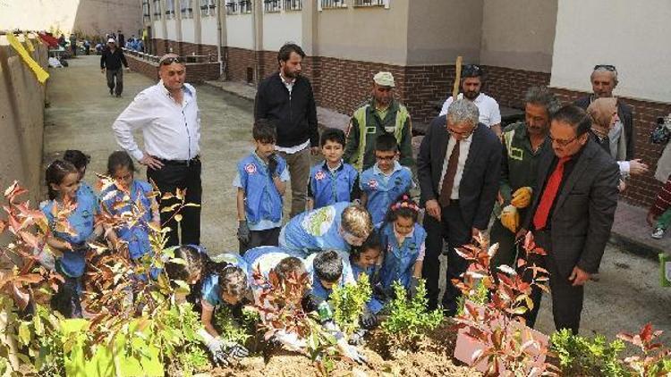 Öğrenciler ‘Yeşil Okul’ projesiyle okul bahçelerine fidan dikti