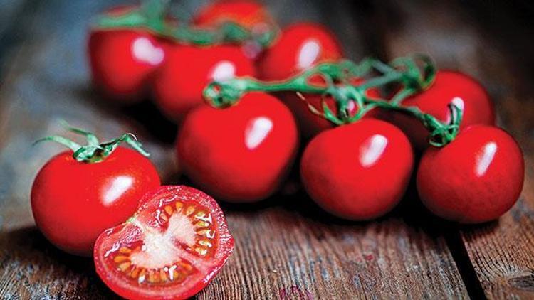 Ucuz domates 20 Mayıs’tan sonra