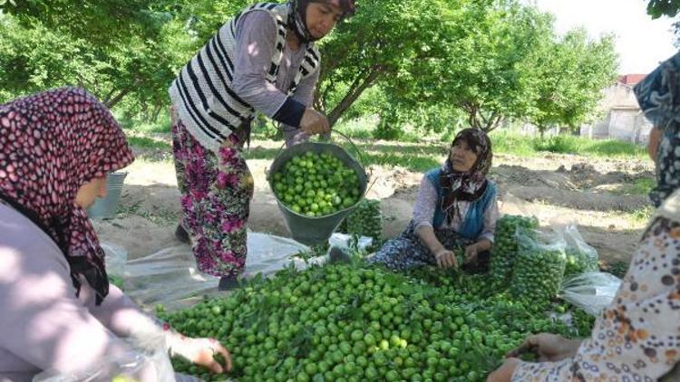 Papaz eriği herkesi memnun etti