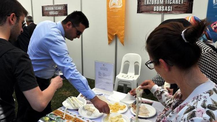 Civil ve göğermiş peyniri Çanakkalede tanıttılar