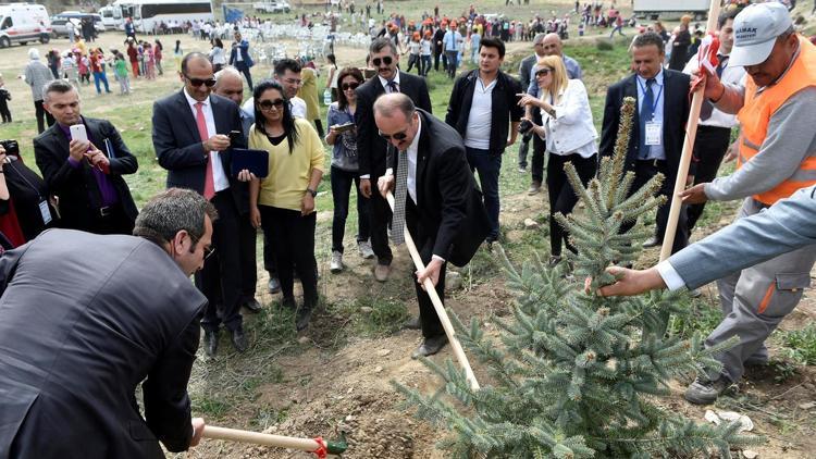 Gökçeyurt’a 2 bin fidan