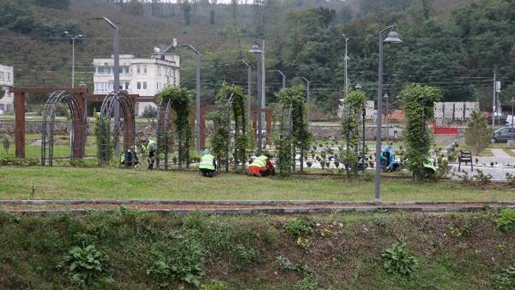 15 milyon lira harcanan Botanik Parkı, açılmadan sökülüyor