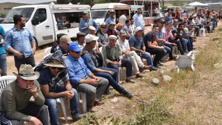 At tutkunları Bornova’da buluştu