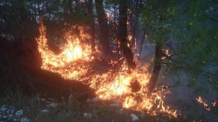 İlaçlama ekibi orman yangını söndürdü