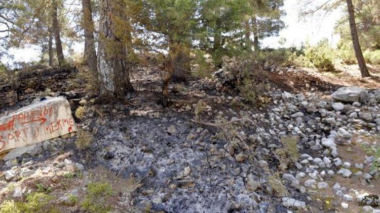 Çevreci Büyüknohutçu çifti cinayetinin şüphelisi gözaltında (3)