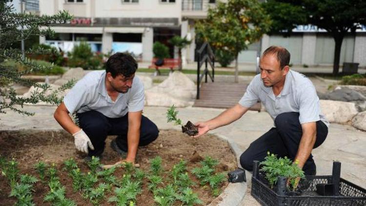 Karşıyaka yaz çiçekleriyle süsleniyor