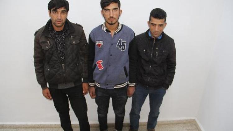 Başkalede 3 Afgan kaçak yakalandı