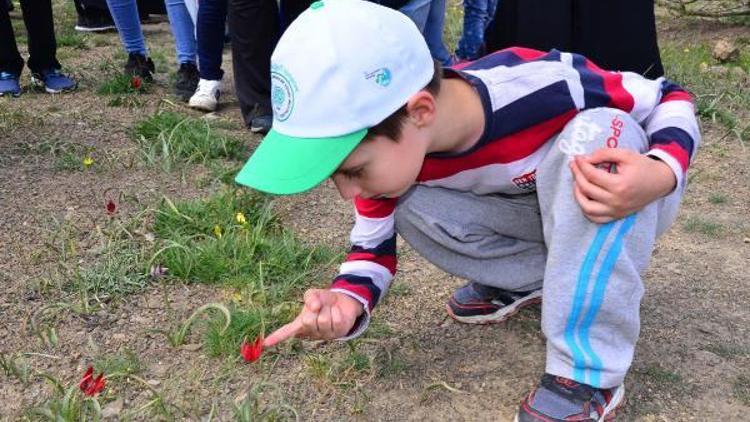 Merak ettikleri laleye korkarak dokundular