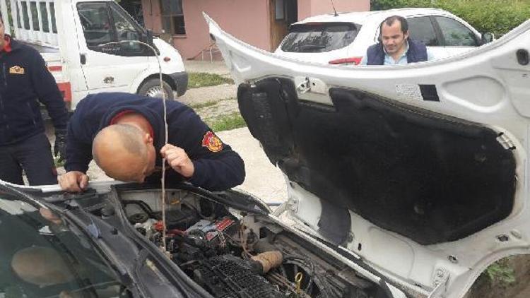 Aracın motor kısmına giren kediyi itfaiye çıkardı