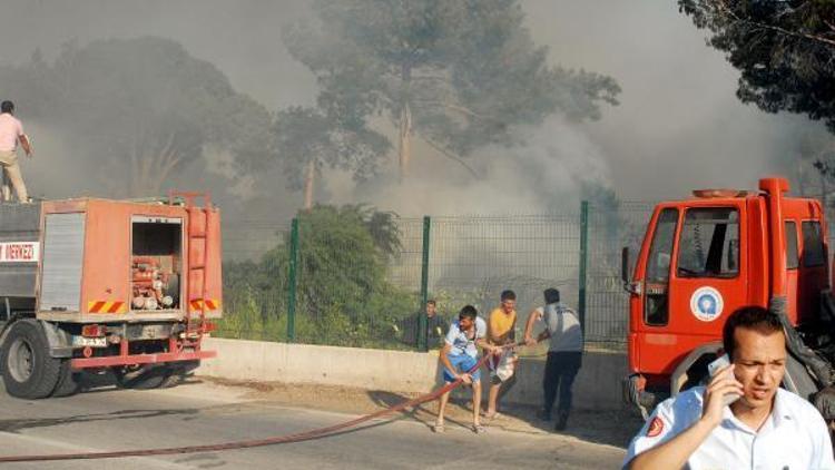 Sazlık alanda çıkan yangın golf sahasına sıçradı