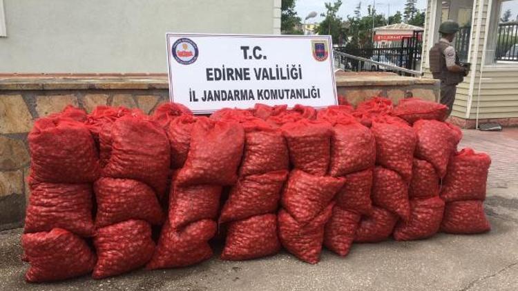 Edirne’de 1.6 ton kaçak midye ele geçirildi