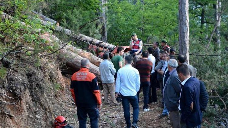 Devrilen ağacın altında kalan orman işçisi öldü