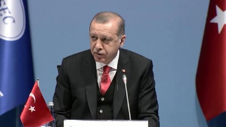 Cumhurbaşkanı Erdoğan, Ermenistan temsilcisinin konuşmasını eleştirdi