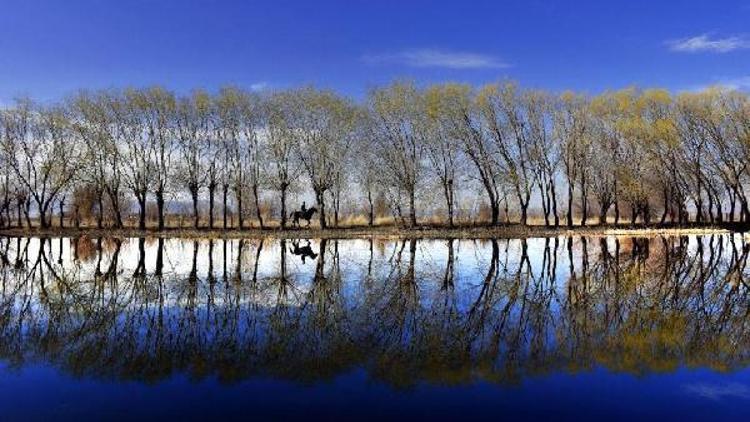 Fotoğraf yarışması sonuçlandı