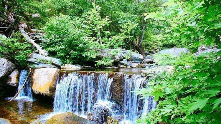 Türkiyenin oksijen deposu için çok önemli uyarı