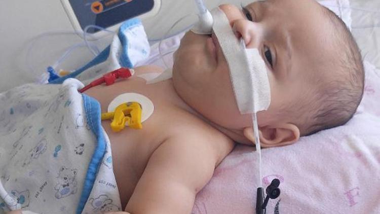 SMA hastası 5 aylık Egehanın, ailesinin ilaç umudu