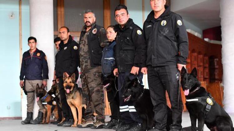 Ankarada K-9 bomba arama köpekleri göreve hazır