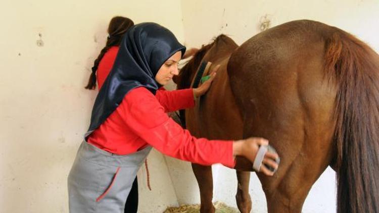 Türkiye’nin lisanslı ilk 36 kadın seyisten 20’si hemen iş buldu