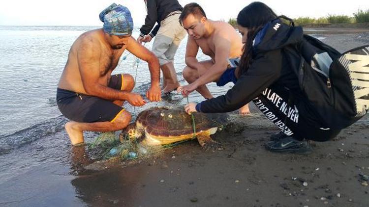 Ağa dolanan caretta caretta kurtarıldı