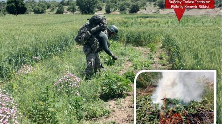 Diyarbakırda 10 bin güvenlik görevlisiyle PKK ve uyuşturucuya büyük operasyon