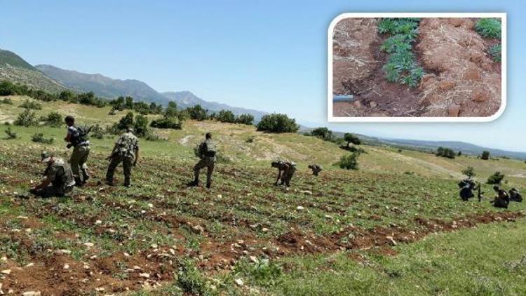 Diyarbakırda operasyonunda çatışma: 2 asker yaralandı