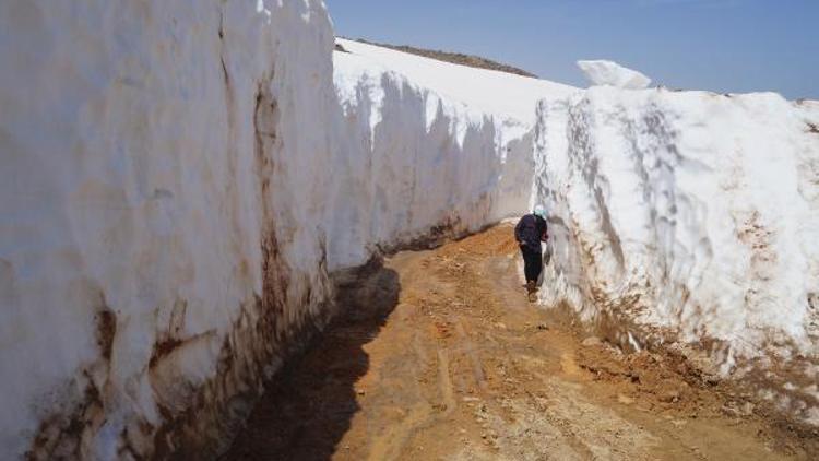 Konyada Mayıs ayında kar tüneli