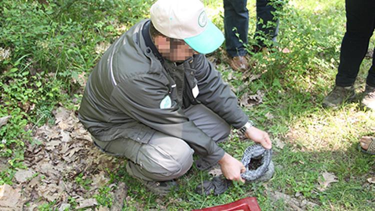 Sülükler yüzünden 42 bin 709 TL ceza yedi