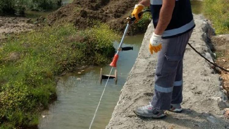 Yalova’da sinek ile mücadele devam ediyor