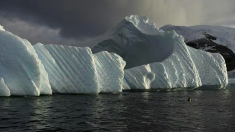 Dev buzul, Antartikadan her an kopabilir