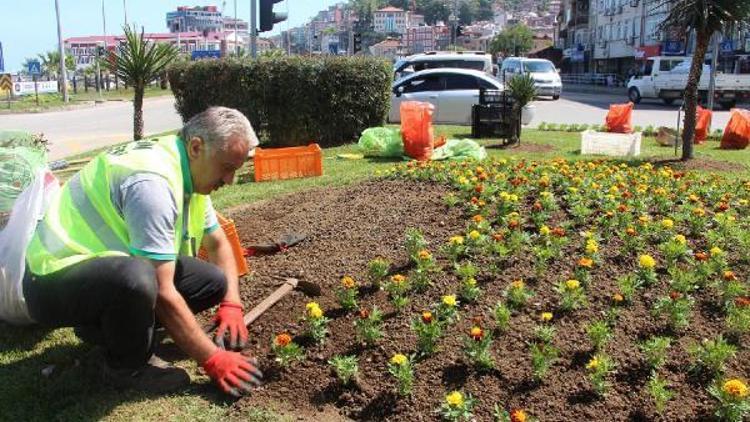 Yaz geldi, Giresun çiçeklerle renklendi