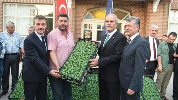Bursa’da dünya pazarları için özel biber üretimi