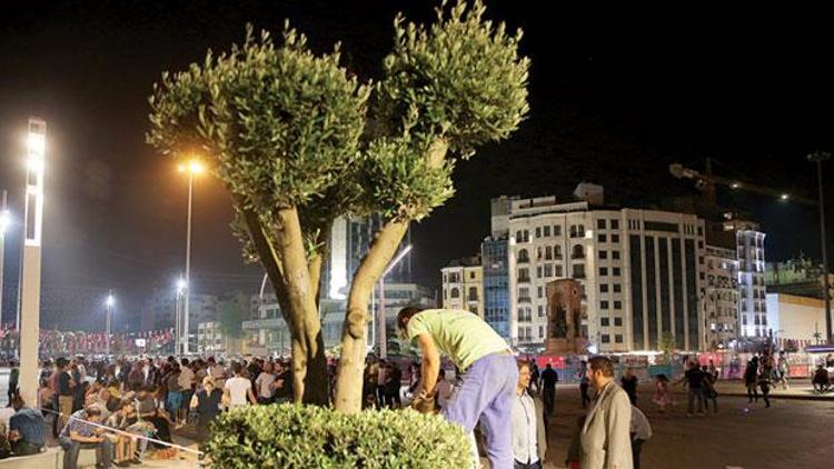 Taksim Meydanına 50 ağaç