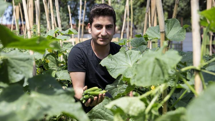 Okulda organik sebze yetiştiriyorlar