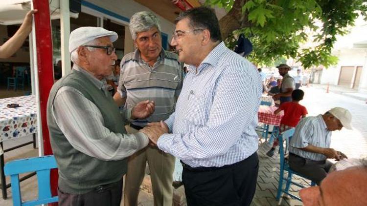 CHP Genel Sekreteri Sındır: Zeytin üreticileri tek yürek olmalı