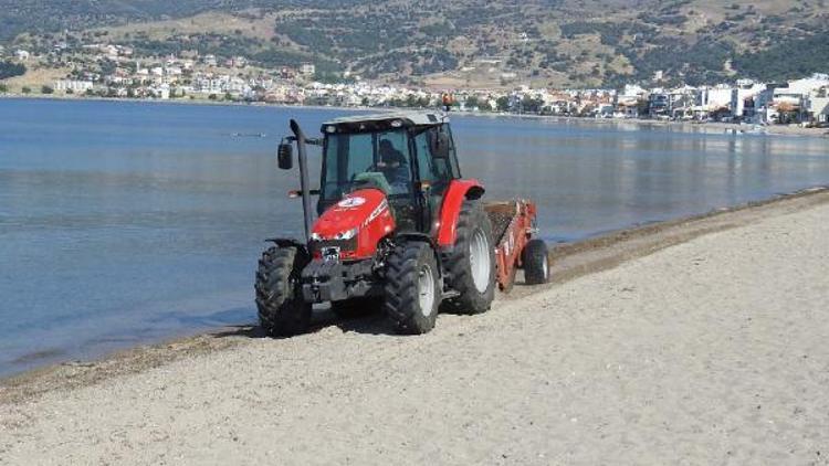 Dikilide kumsallar pırıl pırıl oluyor