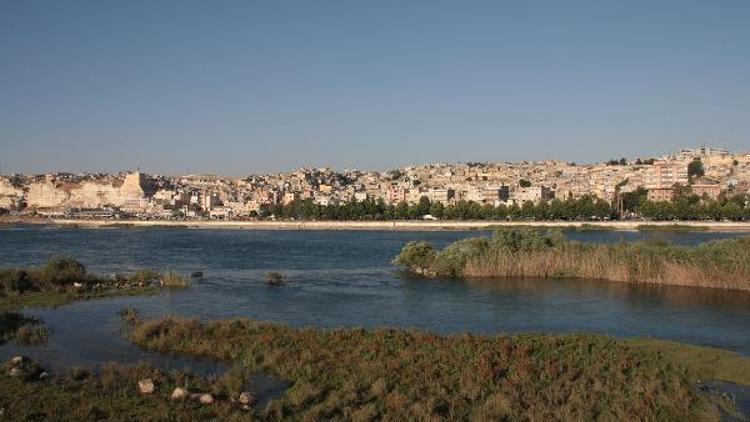 Karkamış sulak alanı turizme açılıyor