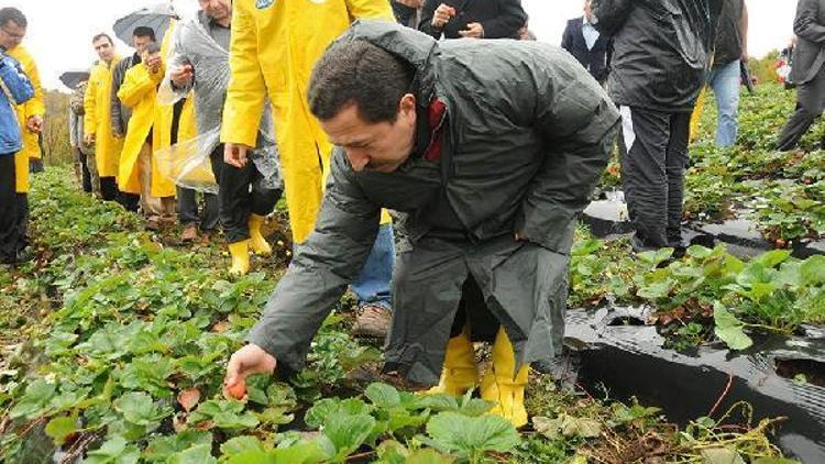 Vali Balkanlıoğlu: Fındığa ek gelir getirici alternatif projeler hayata geçirildi