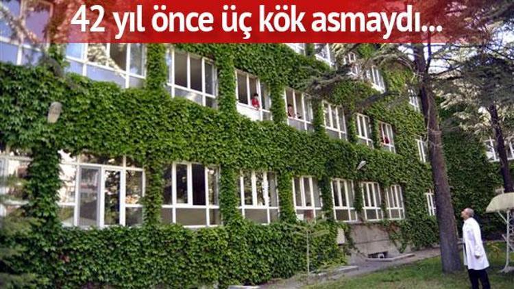 Bu da doğal mantolama