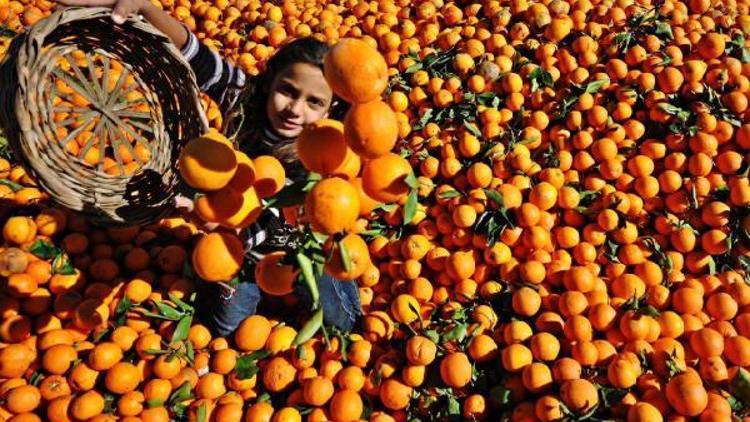 Afad Bir turuncu öykü adana proje çekimleri başladı