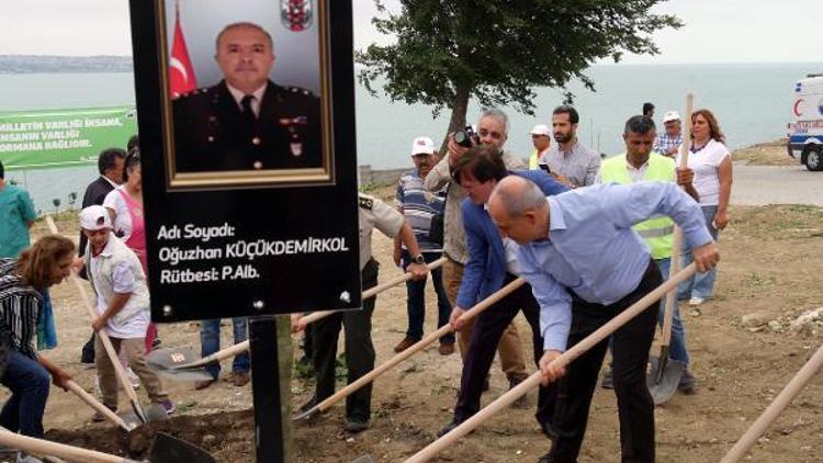 13 şehidin anısına 13 çınar ağacı dikildi