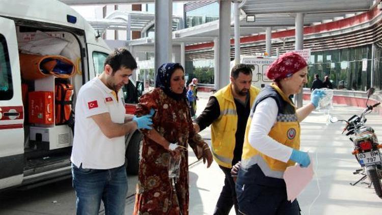 Mevsimlik işçiler mantardan zehirlendi