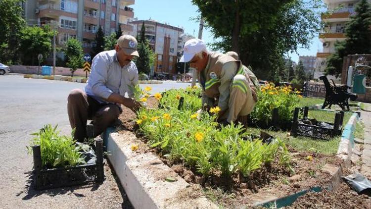 Haliliye çiçeklerle süsleniyor