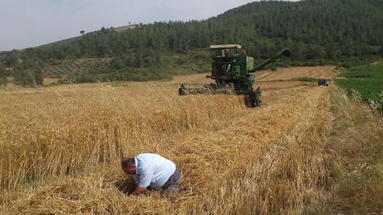 Dane kaybına neden olan operatör cezalandırılacak